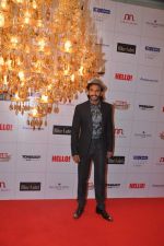 Ranveer Singh at Hello hall of  fame awards 2013 in Palladium Hotel, Mumbai on 24th Nov 2013